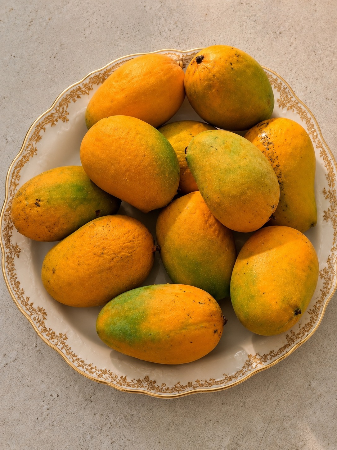 Gir Kesar Mango
