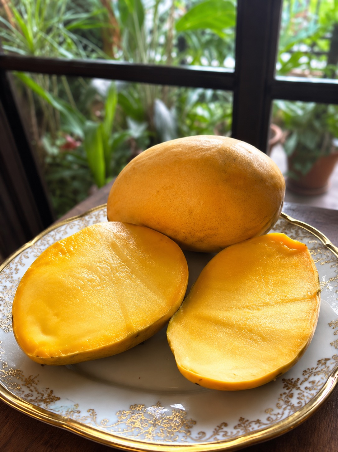 Himayat Mango
